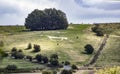 Hackpen White horse viewed from Broad Hinton Road Royalty Free Stock Photo