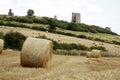 Hadleigh castle , essex with bails of hay in the foreground