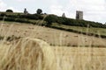Hadleigh castle with hay bails in the foreground
