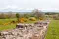Hadrian\'s Wall & Defensive Ditch