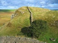 Hadrians Wall at Sycamore Gap, Northumberland National Park, Northern England