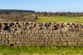 Hadrian`s Wall Royalty Free Stock Photo