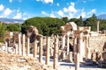 Hadrian temple and columns on curetes street Ephesus ancient ciity Royalty Free Stock Photo