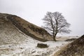 Hadrians Wall