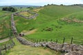 Hadrians Wall with Milecastle 42 at Cawfields Quarry, Northumberland National Park, Northern England, Great Britain Royalty Free Stock Photo