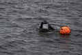 Haenyeo female divers or haenyo women diving scuba for keeping clam abalone shells in underwater in sea ocean at Iho Tewoo beach