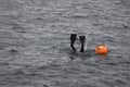 Haenyeo female divers or haenyo women diving scuba for keeping clam abalone shells in underwater in sea ocean at Iho Tewoo beach