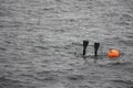 Haenyeo female divers or haenyo women diving scuba for keeping clam abalone shells in underwater in sea ocean at Iho Tewoo beach