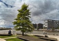 Small park at the Hafencity in Hamburg