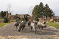 Hagerman Sheep Monument in Idaho