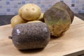 Haggis neeps and tatties