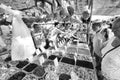 Haggling at the street market, Velez Malaga, Spain. Royalty Free Stock Photo