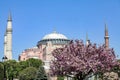Hagia Sophia in Sultanahmet, Istanbul City, Turkey Royalty Free Stock Photo