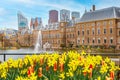 Hague, Netherlands Binnenhof parliament and lake fountain