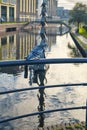 The Hague, The Netherlands - November 8, 2020: Focus on bird. A seagull on a metal fence, in the background water and factory Royalty Free Stock Photo