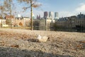 The Hague, November 10 The Hague, The Netherlands. Covid-19 brings silence to the courtyard, one seagull with autumn leaf in his