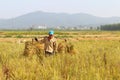 HAI DUONG, VIETNAM, October, 26: Unidentified man bring rice bun