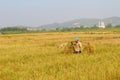 HAI DUONG, VIETNAM, October, 26: Unidentified man bring rice bun