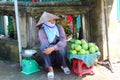 HAI DUONG, VIETNAM, SEPTEMBER, 6: women selling guava fruit on S