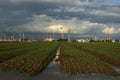 Haifa Oil Refineries Royalty Free Stock Photo