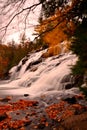 Haigh Township Michigan area of Bond Falls in Autumn