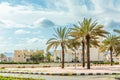 Hail city central square with palms in the front, Hail, Saudi Arabia