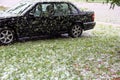 Hail ice pellets damage with fallen leaves on black car Royalty Free Stock Photo
