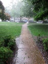 Hail Stones in Washington DC Royalty Free Stock Photo