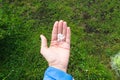 Hailstones in hand. Holding a handful of hail on the grass background