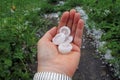 Hailstones Royalty Free Stock Photo