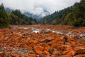 Hailuogou red beach Royalty Free Stock Photo