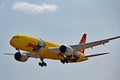 Hainan Airlines Boeing 787-9 With Kung Fu Panda Livery In Flight