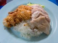 Hainan chicken rice Royalty Free Stock Photo