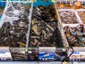 HAINAN, CHINA - 3 MAR 2019 Ã¢â¬â Fresh live seafood fish; prawns, shellfish for sale at a seafood wholesale and retail centre in