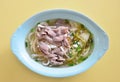 Hainanese beef noodles Royalty Free Stock Photo