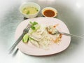 Hainanese chicken rice or steamed chicken rice - Asian food style