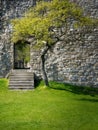 Hainburg castle ruins side wall entrance stairs and tree, Austria