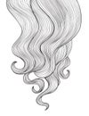 Hair background. Outline hairdressing salon frame design Royalty Free Stock Photo