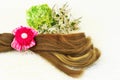 Hair and barrette with pink ribbon, flowers and green leaf on white lace background Royalty Free Stock Photo