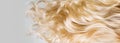 Hair. Beautiful healthy long curly blond hair closeup texture. Dyed wavy blonde hair background. Coloring. Haircare Royalty Free Stock Photo