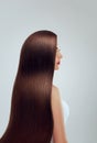 Hair.Beautiful woman with luxurious long hair. Gorgeous Model Girl with Healthy brown Hair.Pretty female with long smooth shiny st Royalty Free Stock Photo