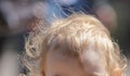 Hair blond on the head of a little boy Royalty Free Stock Photo