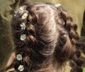 Hair braided with daisies white in the woman`s hair