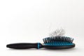 Hair brush with bunch of hairs