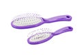 Hair brushes. Royalty Free Stock Photo