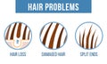 Hair care split ends