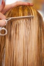 Hair care, hairdresser scissors and hands of woman cut hairstyle, grooming and cleaning in beauty salon. Hairdressing