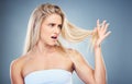 Hair care problem, angry and woman frustrated with damaged hair, split ends or bad haircut. Trichology crisis, hair Royalty Free Stock Photo