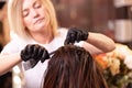 Hair coloring in the salon, hair styling. Professional wizard paints the hair in the salon. Beauty concept, hair care. Royalty Free Stock Photo