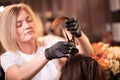 Hair coloring in the salon, hair styling. Professional wizard paints the hair in the salon. Beauty concept, hair care. Royalty Free Stock Photo